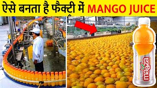 फैक्ट्री में MANGO Juice कैसे बनता है? How Mango juice is produced in a factory?