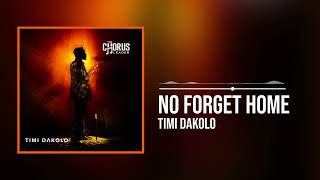 Timi Dakolo - No Forget Home (Official Audio