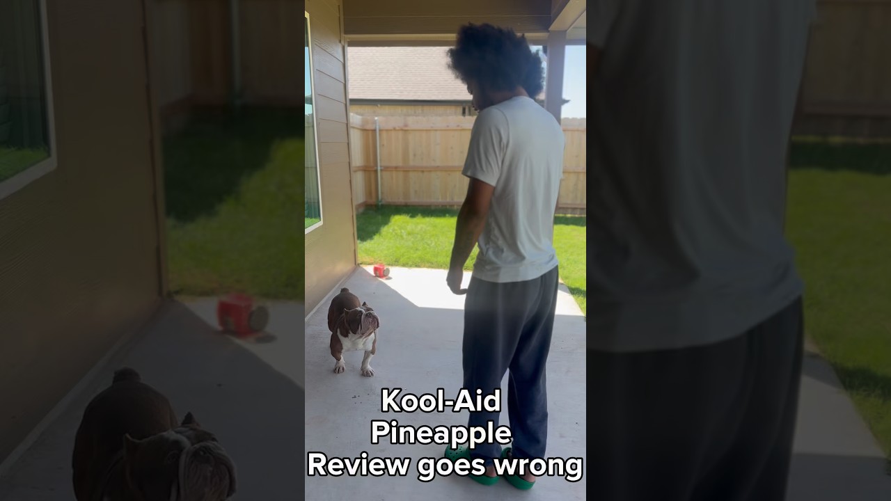 Offset does the kool-aid pineapple review goes extremely wrong 🐾 #dogs #TheDogOffset #bulldog #fyp