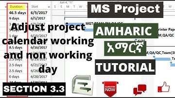 Ms project Amharic አማርኛ tutorial Adjust project calendar & Non working day & Holiday section 3.3