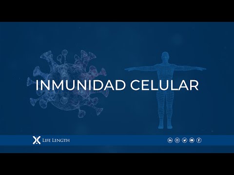 Video: ¿Qué es la inmunidad celular al coronavirus y cómo probarla?