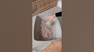 Daily Cleaning Your Rabbit Litter Tray | How to Clean You Rabbit Enclosure | Spot Cleaning