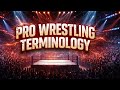 Echo Protocol - Pro Wrestling Terminology