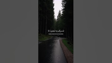 وإن ربك ليعلم ما تكن صدورهم وما يعلنون🍂القران الكريم بصوت إسلام صبحي ❤️‍🩹