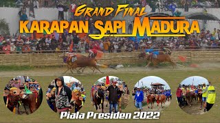 Grand Final Karapan Sapi Madura Piala Presiden 2022