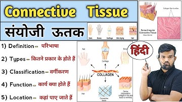 संयोजी ऊतक | Connective Tissue | Anatomy and Physiology | Connective tissue in Hindi | Tissue notes