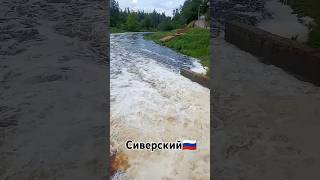 Водица валит. Сиверский #гэс #гатчина #отдых #путешествия #путешествие #кайф #кайфую #флекс #shorts