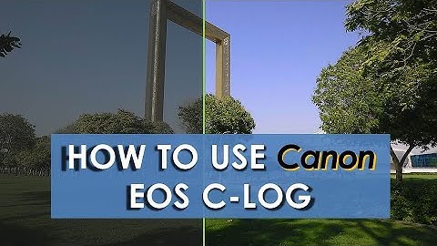 How to record Canon C Log on 5D Mark iv and EOS R