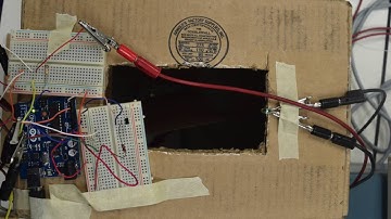 EE3 Demo Venus Flytrap