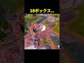 世界王者を前にして敵がとった行動とは... #フォートナイト #peterbot #ピーターボット