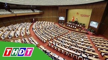Quốc hội thảo luận Luật Đầu tư (sửa đổi), Luật Tiết kiệm, chống lãng phí | THDT