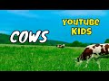 Learn about cows for kids  on luna the magical pup