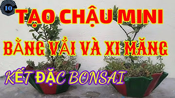 CHẬU Làm Bằng vải và xi  măng #tintức24h #thinhhanh #chaucaymini #chậucây  #tintucmoinhat