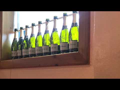 伊太利食房 ZenZero 神宮店
