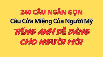 240 Câu Cửa Miệng |Nói Tự Nhiên Như Người Bản Xứ| Mẫu câu Tiếng Anh đơn giản sử dụng thường xuyên