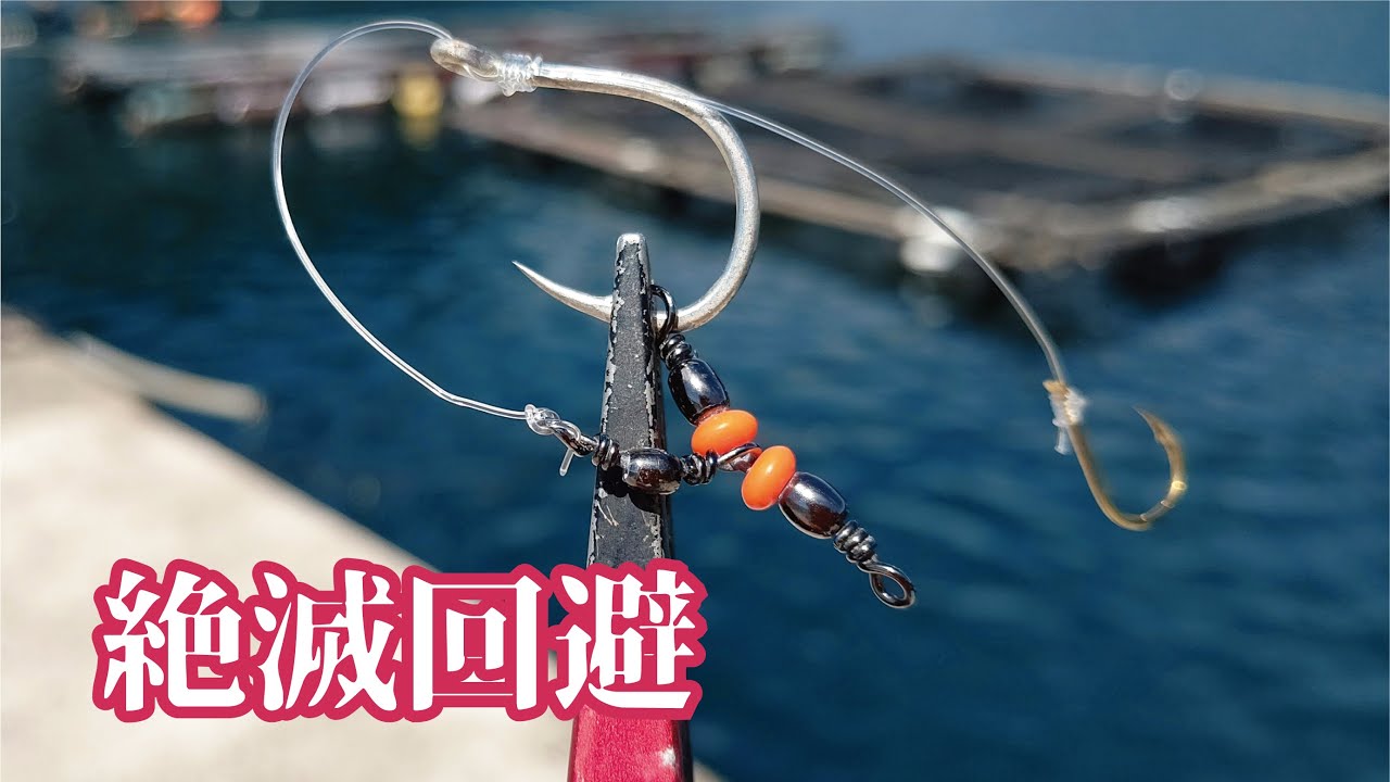 堤防からマンモスなみのパワーを持つ魚が所狭しと釣れて驚いた！！！