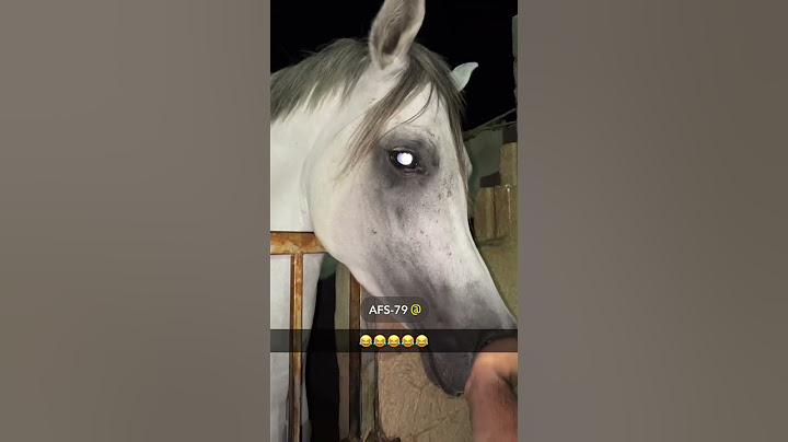 شخصية الحصان العربي😍