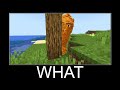 Minecraft WAIT WHAT meme 24/7 Livestream #328