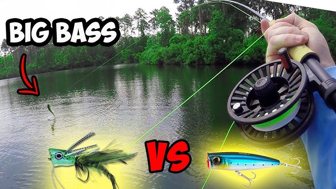 Fly Fishing for Bass Part 2 What Gear do You Need? 