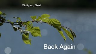 Wolfgang Gsell - Back Again