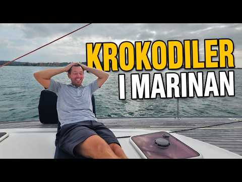 ⁣Bland krokodiler och djungel i Shelter bay 🌴🐊