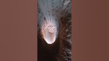 #راحة_نفسية #سورة_إبراهيم #قرآن