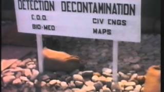 Cold War 12     M A D  1960 1972 part 3
