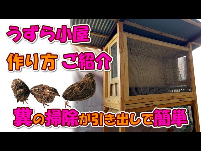 Ruru14様専用ページ手作りうずら小屋55 - かご/おり