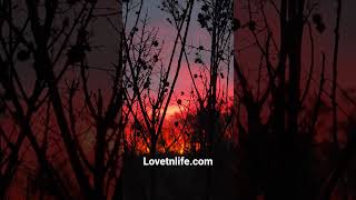 Sunrise March 26 knoxville lovetnlife.com