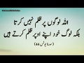 Quran quotes in urdu best quotes by blossom tv - YouTube