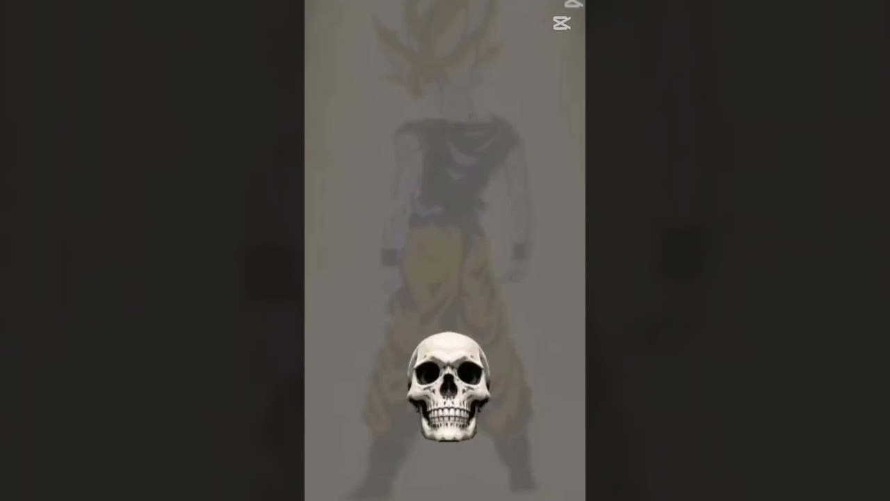 Is it good for first time Skull edit