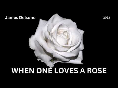 When One Loves A Rose (instrumental version)