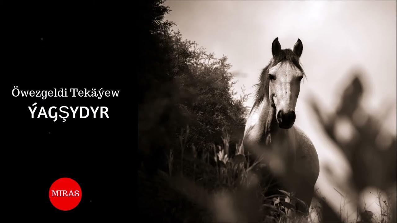 Quchoqlash va opish: yigitga erotik xabarni qanday yozish kerak Mushukda panties bor