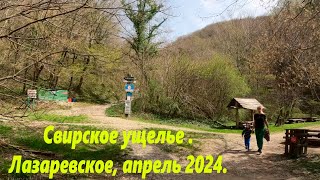 Свирское ущелье весной, Лазаревское ,апрель 2024г.🌴ЛАЗАРЕВСКОЕ СЕГОДНЯ🌴СОЧИ.