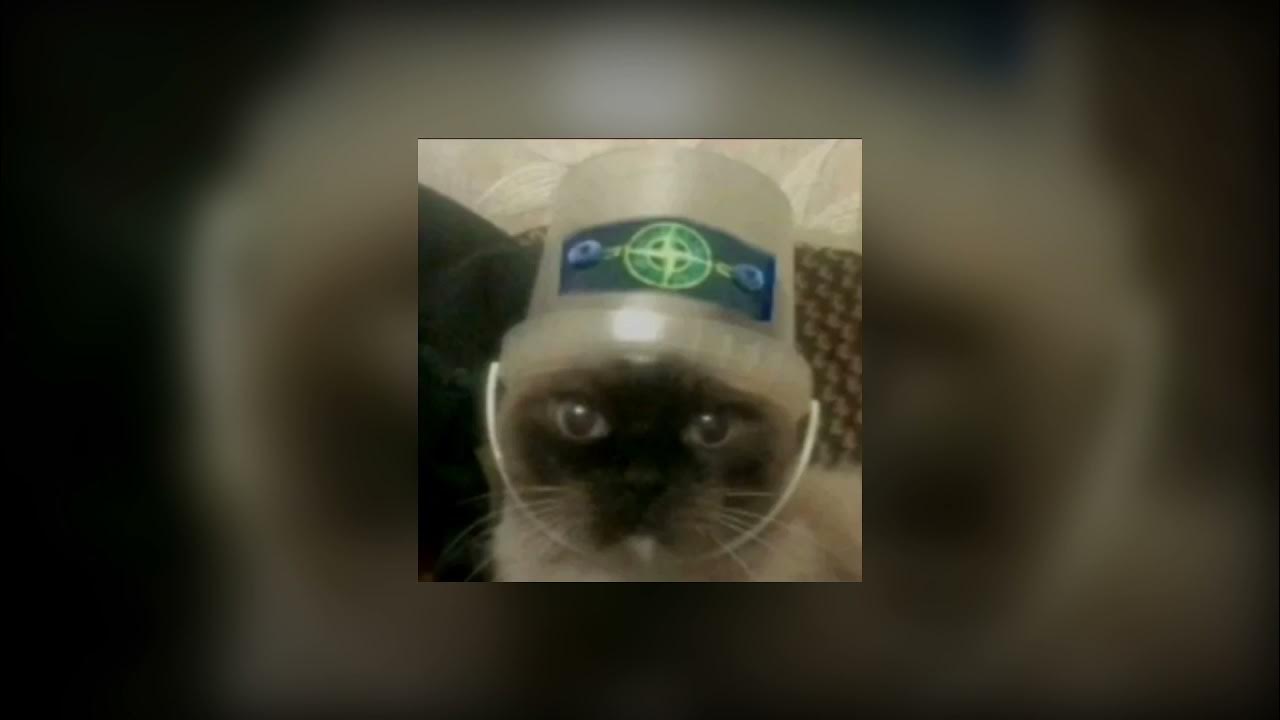 Hate slowed. Ayvarisha ray remix. Hate myself nf. Hate thxsomuch обложка. Hate thxsomuch обложка.