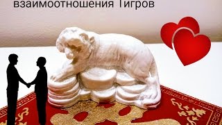 Взаимоотношения рожденных в год Тигра Взаимоотношения рожденных в год Тигра