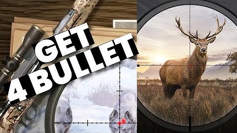 How to Get Four Bullets on Hunting Sniper 2025?
