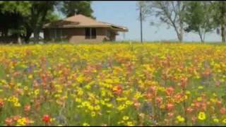 Texas Wildflowers - Toselli's Serenade (Andre Rieu)