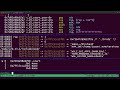Exploit writing in Python w/Pwntools | "i love birds" TJCTF 2025