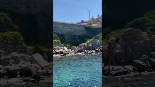 Wanna Play Mermaids?