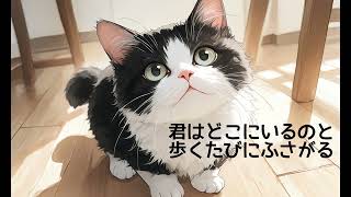 雨と猫と・・・｣ - YouTube