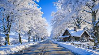 Restore Your Nervous System❄️Beautiful Winter Music for Stress Relief & Healing screenshot 5