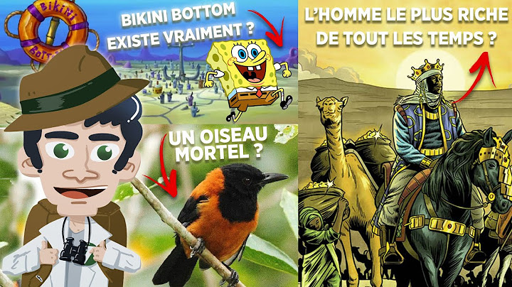 77 Faits Insolites dans le Monde ! #2