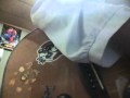 ナイトメアさん~月の光、うつつの夢~