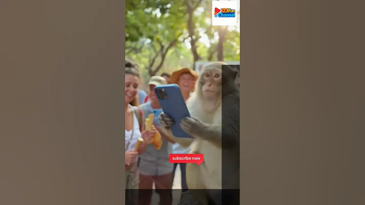 Tourists Can’t Stop Laughing When This Monkey Grabs a Phone! 😂 #monkey #funny #laugh #viral #park