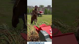 Chaff Cutter | Silage Jesa Kutra karne wali machine | #chaffcutter #silage #farmer #viral #trending