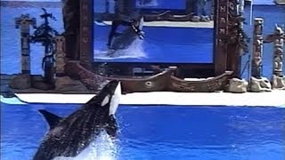 Blackfish Official Trailer HD