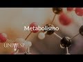 Bioquímica - Aula 13 - Metabolismo