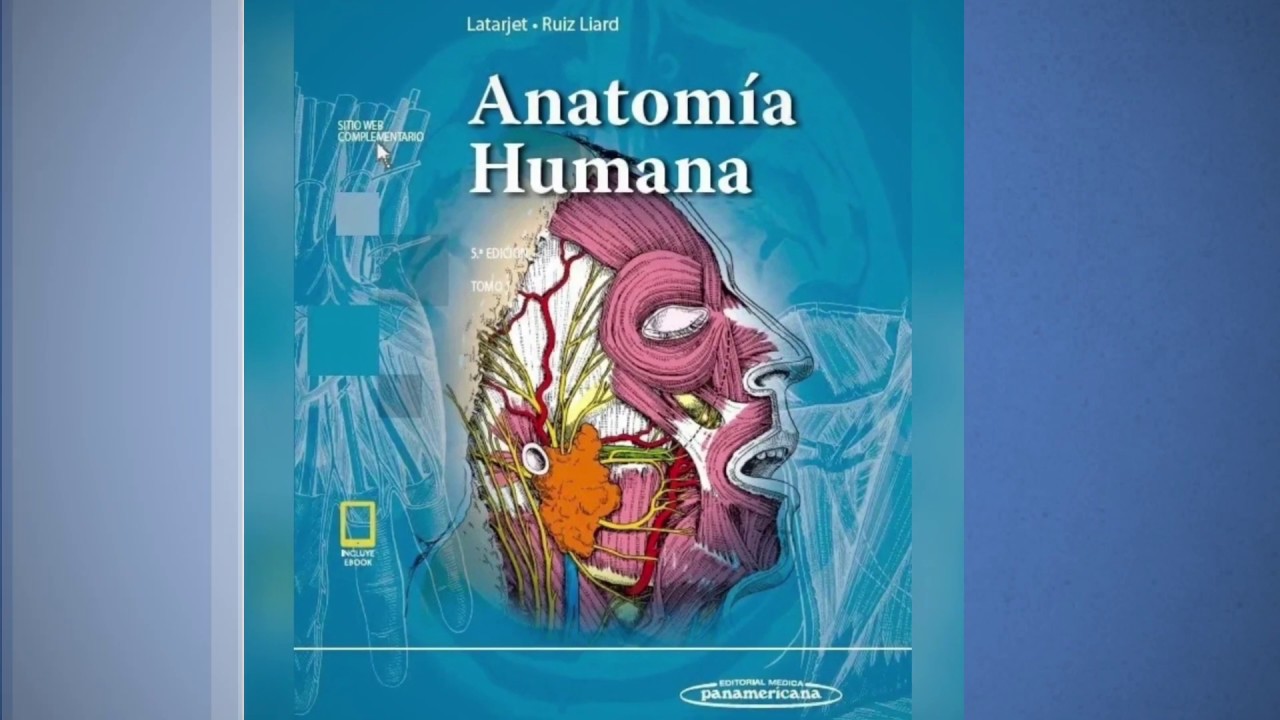 Anatomía humana 2 tomos LATARJET - PDF - Panamericana 5 ED 2018 - Link