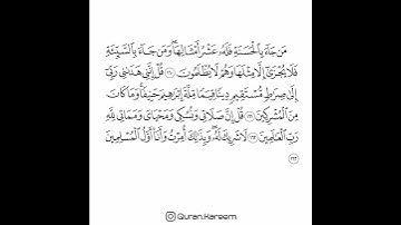 القارئ سعد الغامدي - سورة الأنعام - من الآية 160 إلى الآية 163